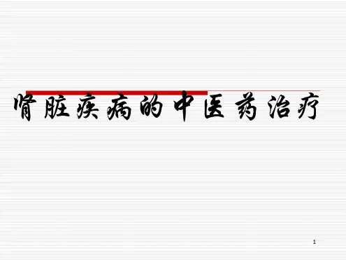 肾脏疾病的中医药防治课件