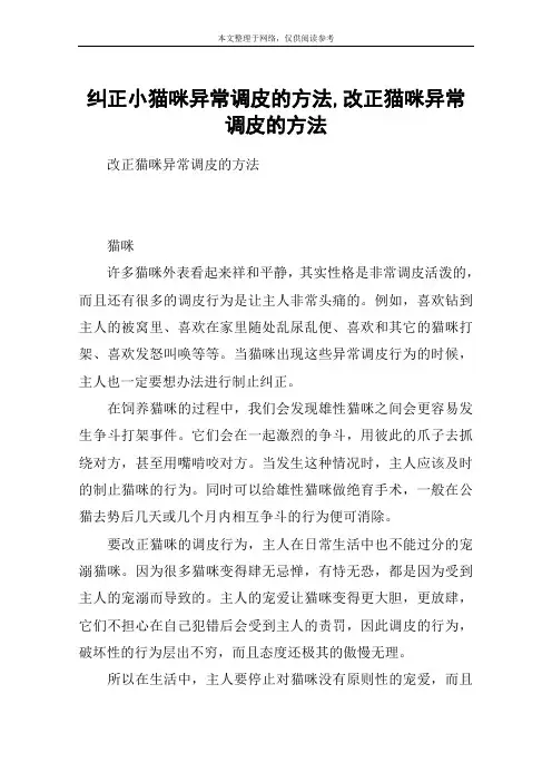 纠正小猫咪异常调皮的方法,改正猫咪异常调皮的方法
