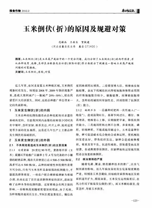 玉米倒伏(折)的原因及规避对策