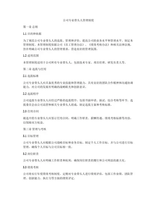 公司专业带头人管理制度