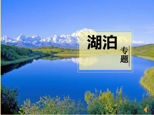 2023届高考地理一轮复习课件湖泊专题