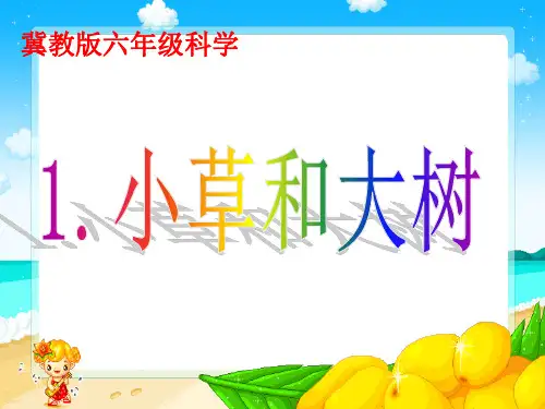 最新冀教版六年级上册科学1.小草和大树课件