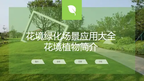 花境植物大全