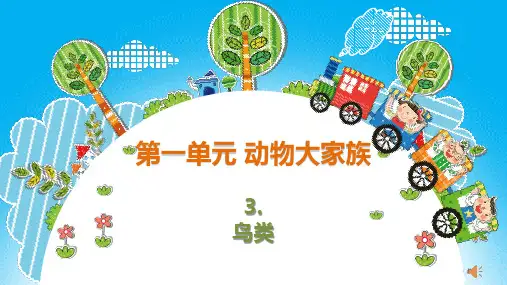 新版苏教版科学四上课件：第三课 鸟类