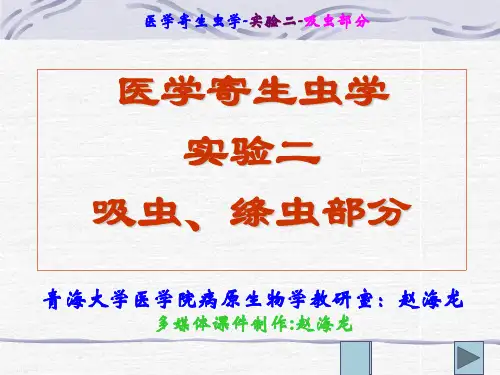 实验二吸虫