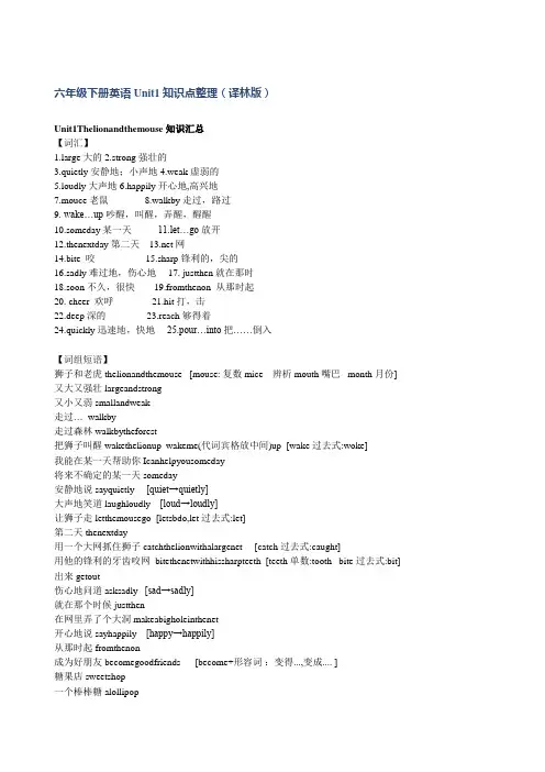 六年级下苏教版译林英语U1语法重点