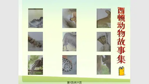 我推荐的一本好书——西顿动物故事集PPT课件