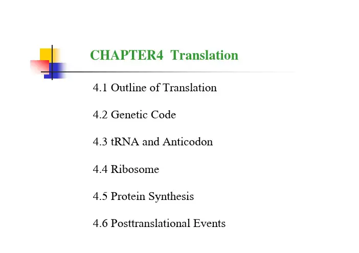 分子生物学英文版Chapter4