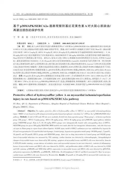 基于p38MAPK