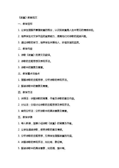 《寂寞》教案范文