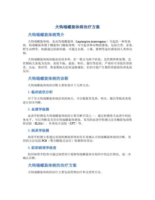 犬钩端螺旋体病治疗方案