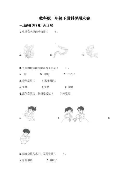 教科版一年级下册科学期末卷附参考答案【实用】