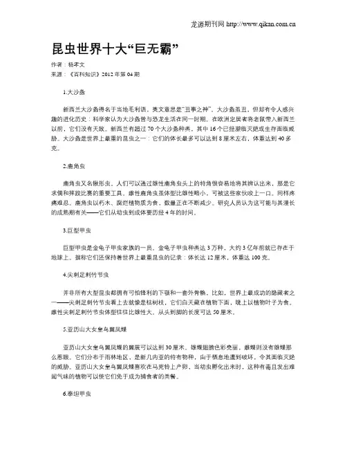 昆虫世界十大“巨无霸”