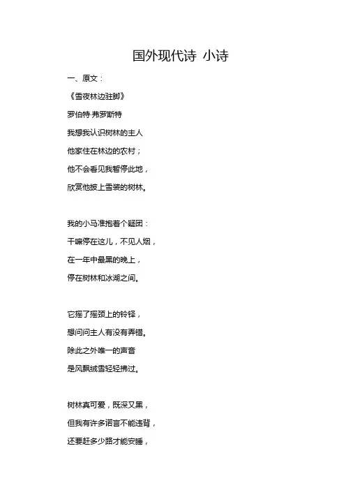 国外现代诗 小诗