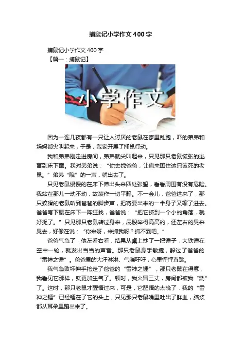 捕鼠记小学作文400字