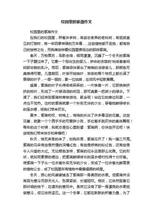 校园里的紫薇作文