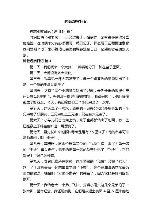 种蒜观察日记（通用34篇）