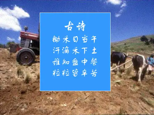 古诗锄禾日当午汗滴禾下土谁知盘中餐粒粒皆辛苦