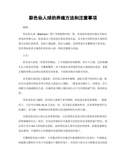 彩色仙人球的养殖方法和注意事项