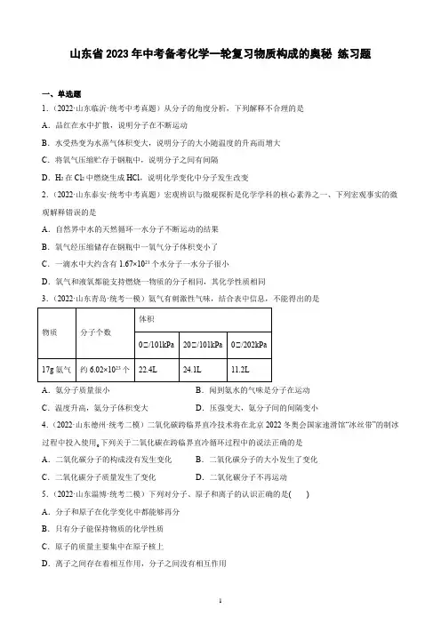 山东省2023年中考备考化学一轮复习物质构成的奥秘 练习题(含解析)