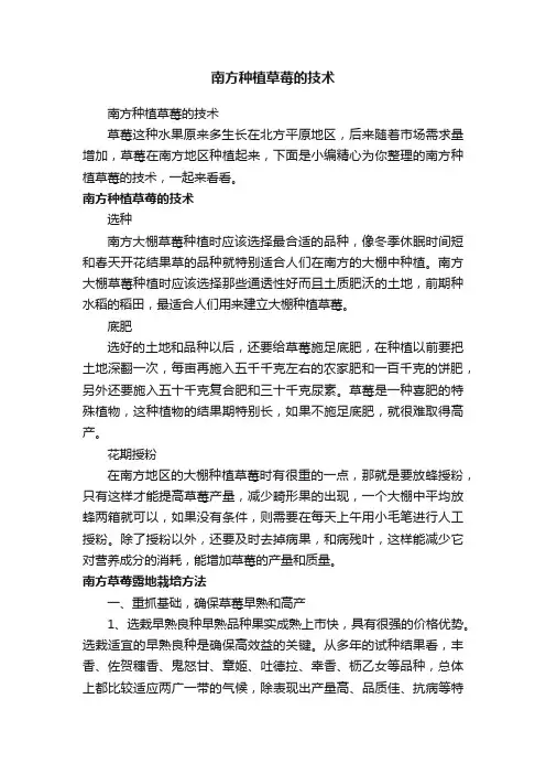 南方种植草莓的技术