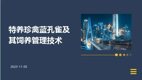 特养珍禽蓝孔雀及其饲养管理技术