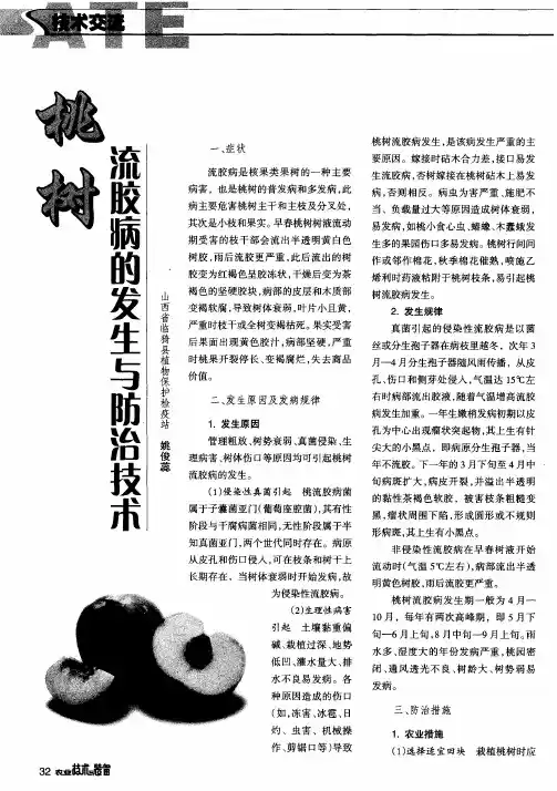 桃树流胶病的发生与防治技术