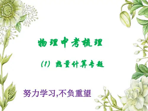 2020年物理中考专题讲座1  热量计算专题