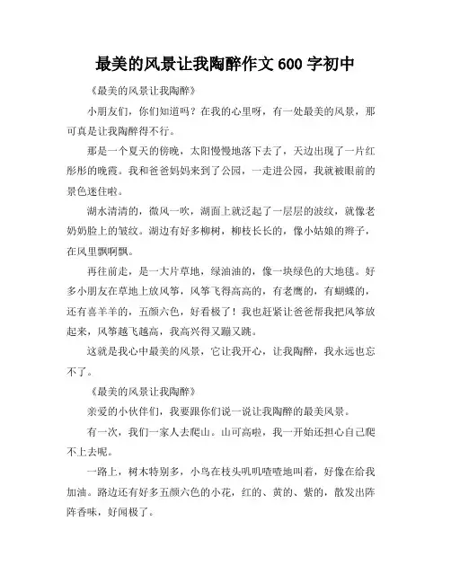 最美的风景让我陶醉作文600字初中
