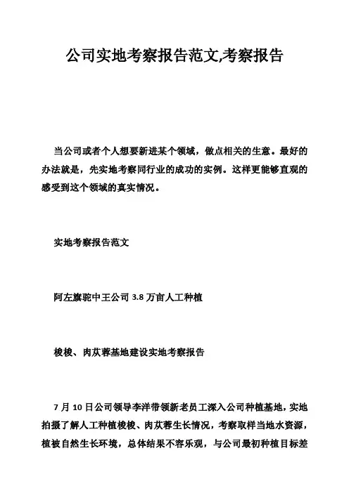 公司实地考察报告范文,考察报告