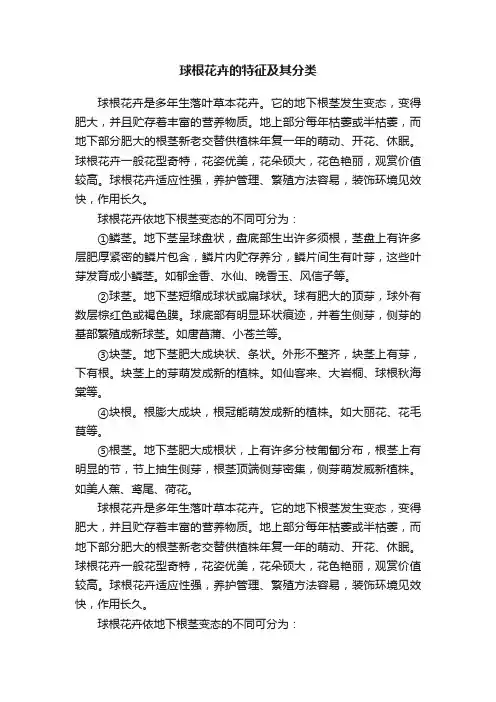 球根花卉的特征及其分类