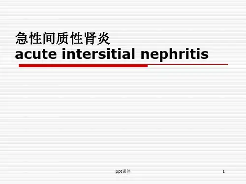 急性间质性肾炎  ppt课件