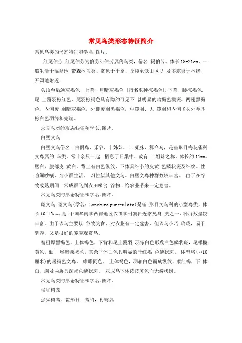 常见鸟类形态特征简介