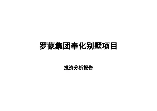 某别墅项目投资分析报告(19页)