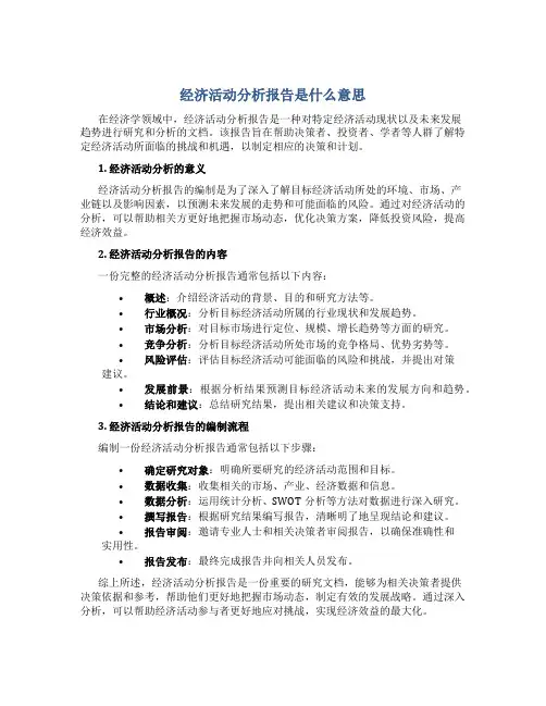 经济活动分析报告是什么意思