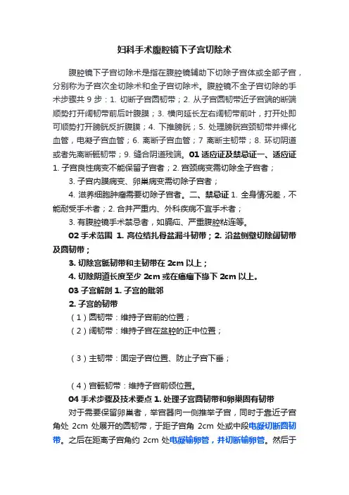 妇科手术腹腔镜下子宫切除术