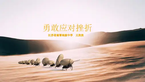 积极应对挫折