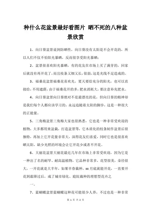 种什么花盆景最好看图片 晒不死的八种盆景欣赏