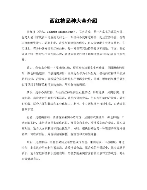西红柿品种大全介绍