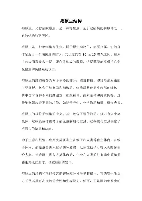 疟原虫结构