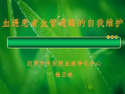 动静脉内瘘健康宣教ppt课件