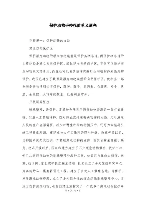 保护动物手抄报简单又漂亮