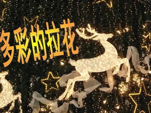 《多彩的拉花》课件