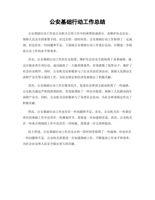 公安基础行动工作总结