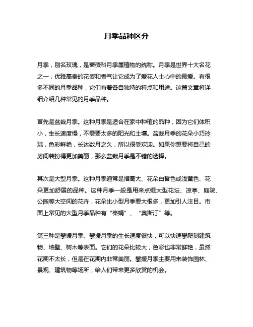 月季品种区分
