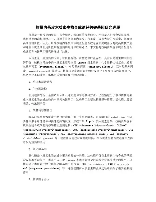 核桃内果皮木质素生物合成途径关键基因研究进展