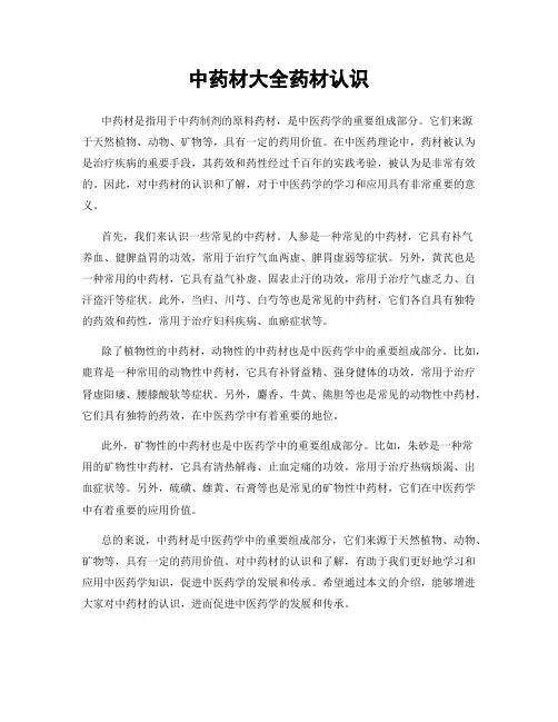 中药材大全药材认识