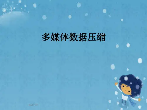 多媒体数据压缩