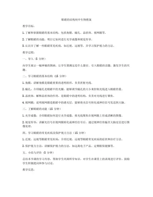 眼睛的结构初中生物教案