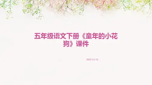 五年级语文下册《童年的小花狗》课件 